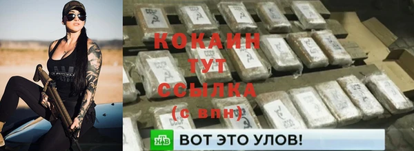 индика Навашино