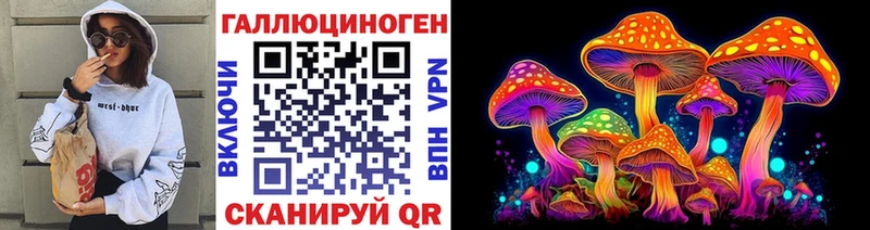 Псилоцибиновые грибы мицелий гидра вход Сургут где купить наркотик