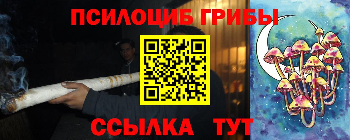 купить   Сургут  Псилоцибиновые грибы Magic Shrooms  Галлюциногенные грибы Cubensis 